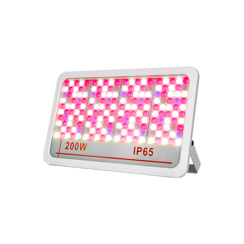 LED oversvømmelseslys