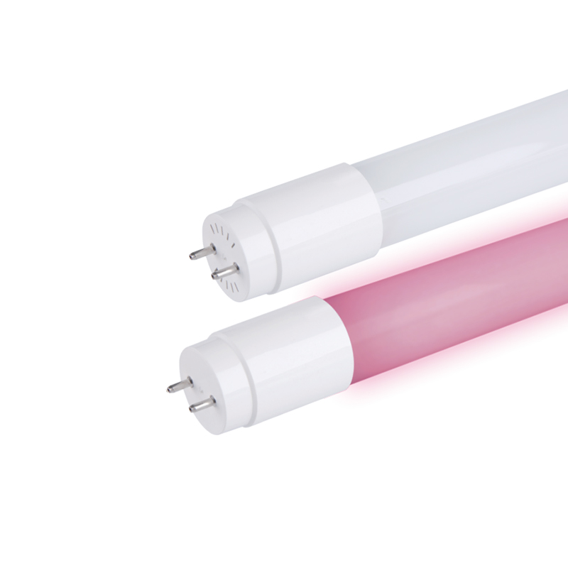 T8 frisk madbelysning LED -rør