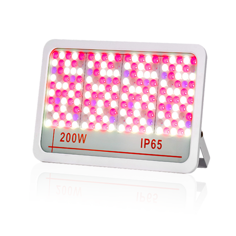 LED oversvømmelseslys